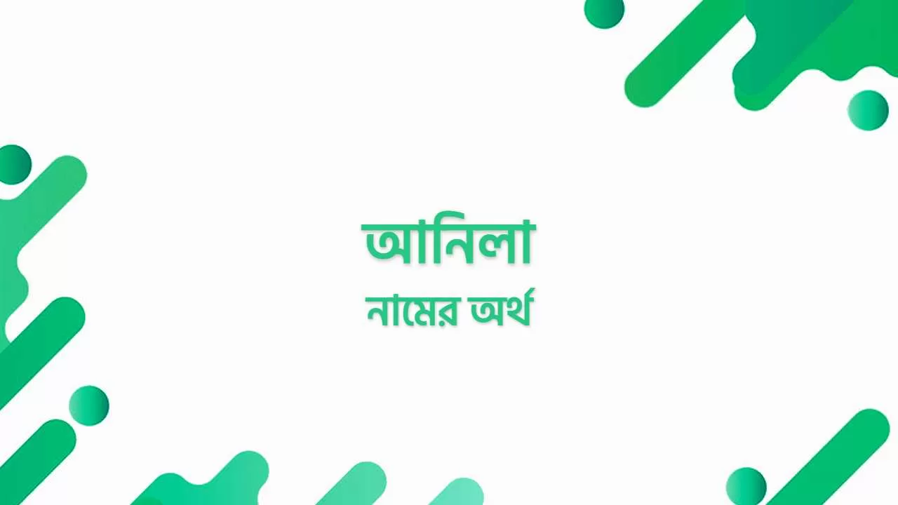 আনিলা নামের অর্থ কি?